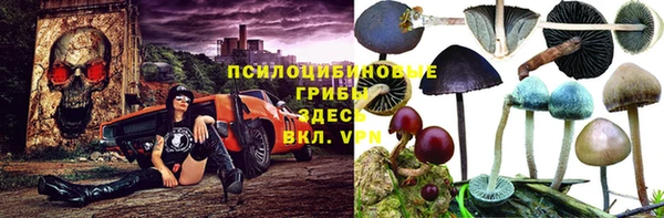 первитин Дмитриев