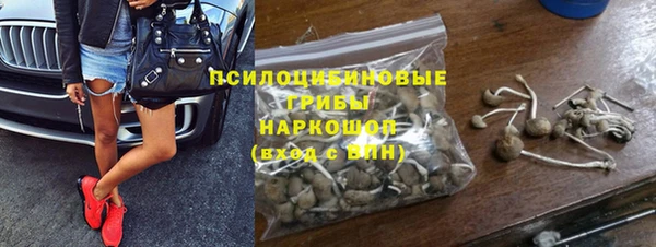 первитин Дмитриев