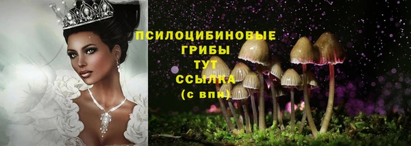 первитин Дмитриев